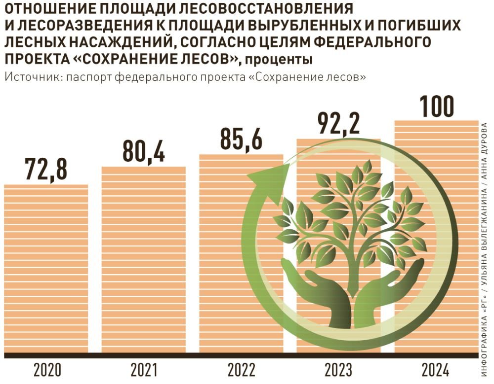 Что такое проект лесовосстановления